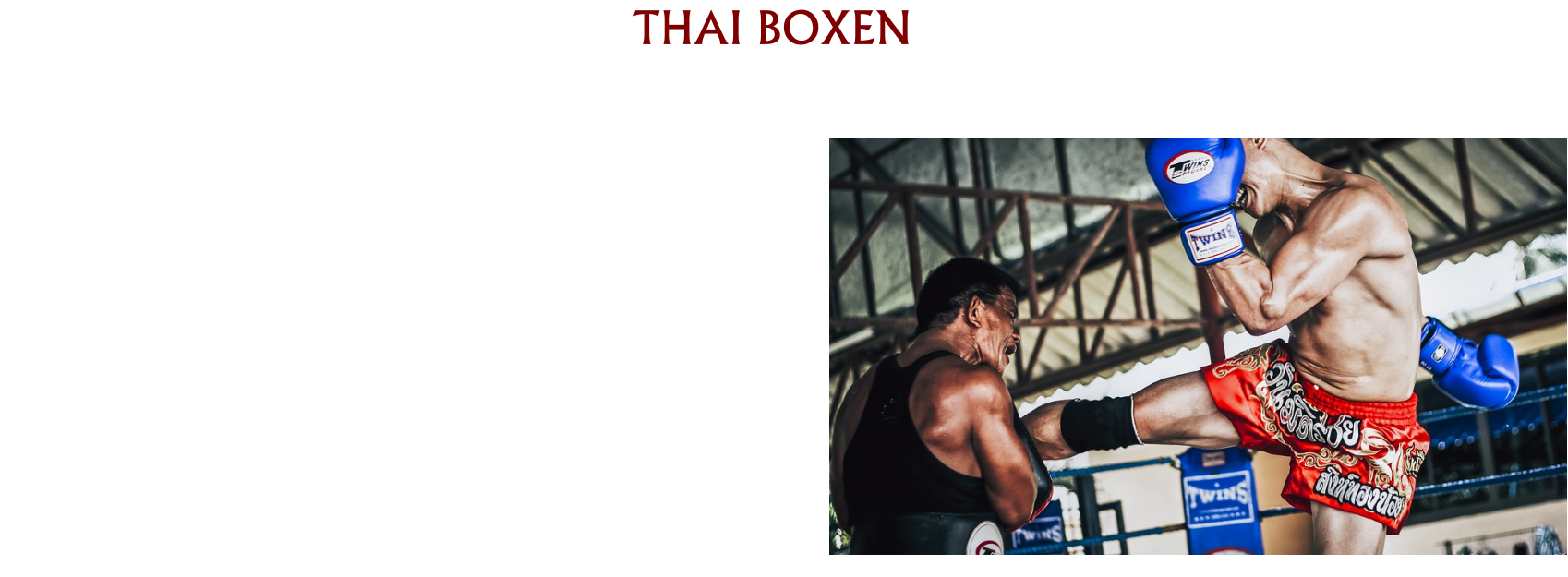 HISTORY THAI BOXEN